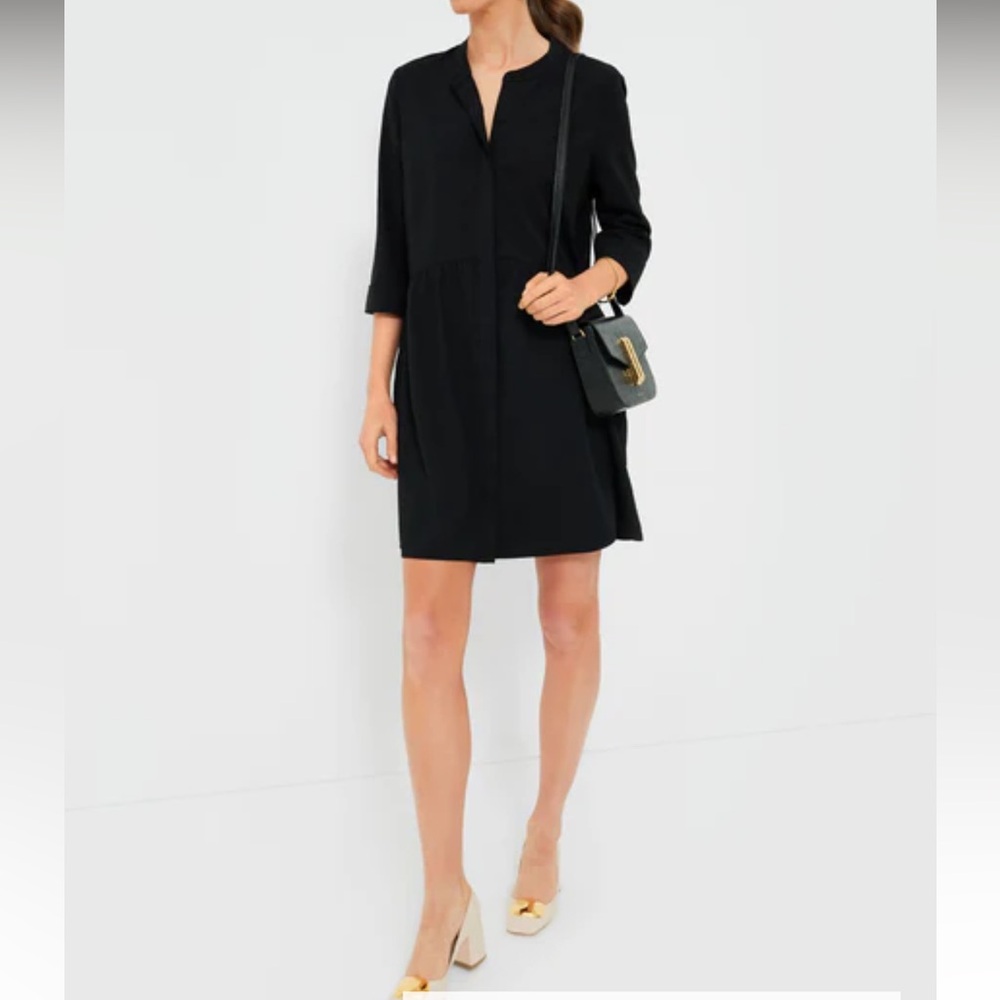 Tuckernuck Black Royal Shirtdress